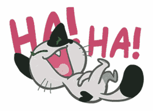 Gif animé rire chat